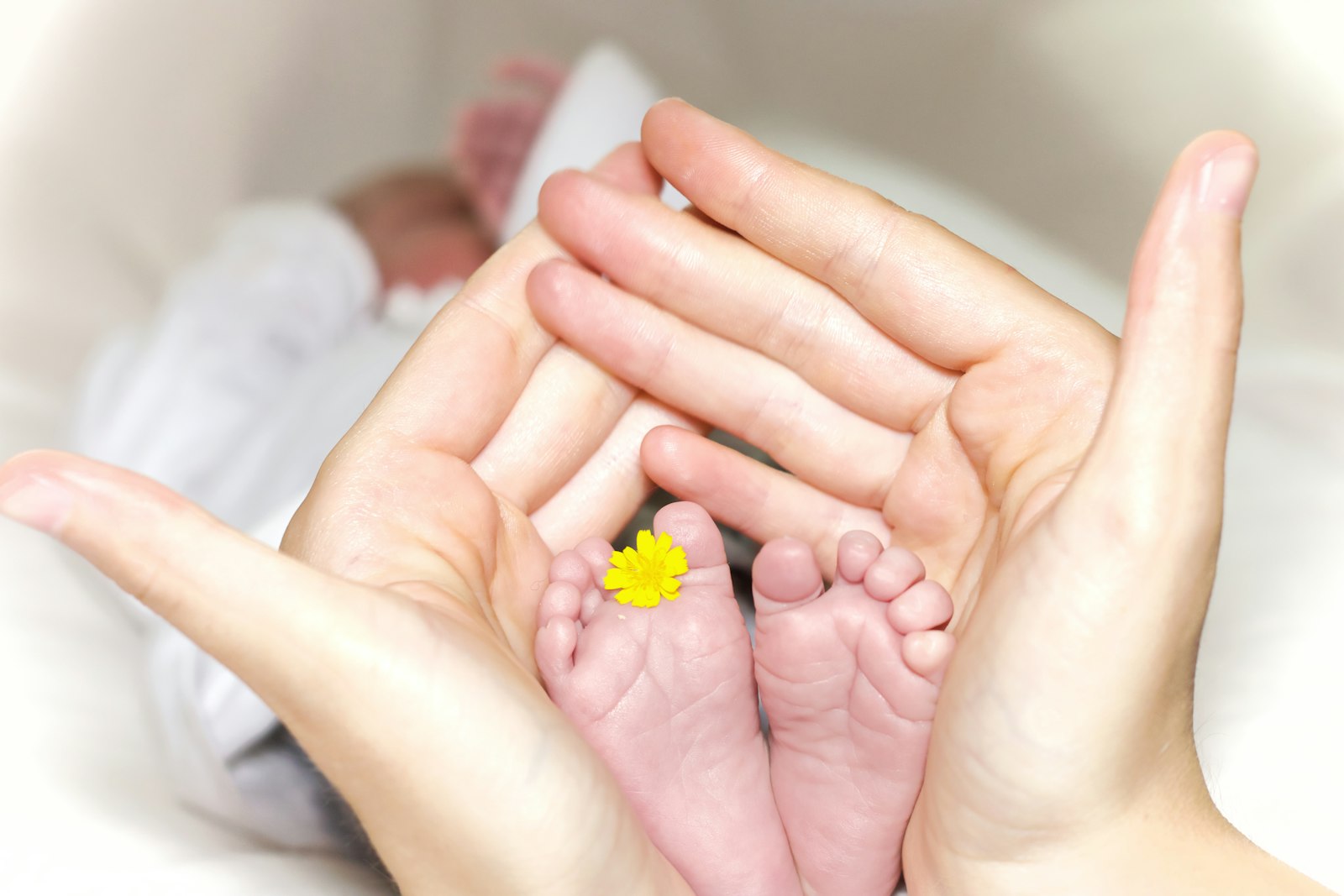Baby Books Buyer's Guide 2026: What Actually Matters