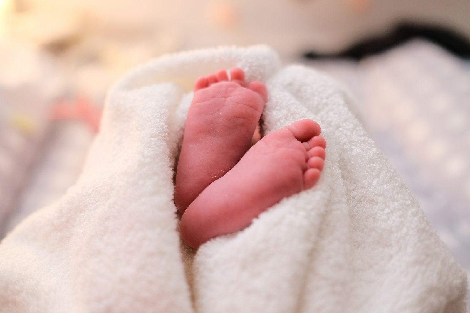 Best Potty Training Gear, Ranked