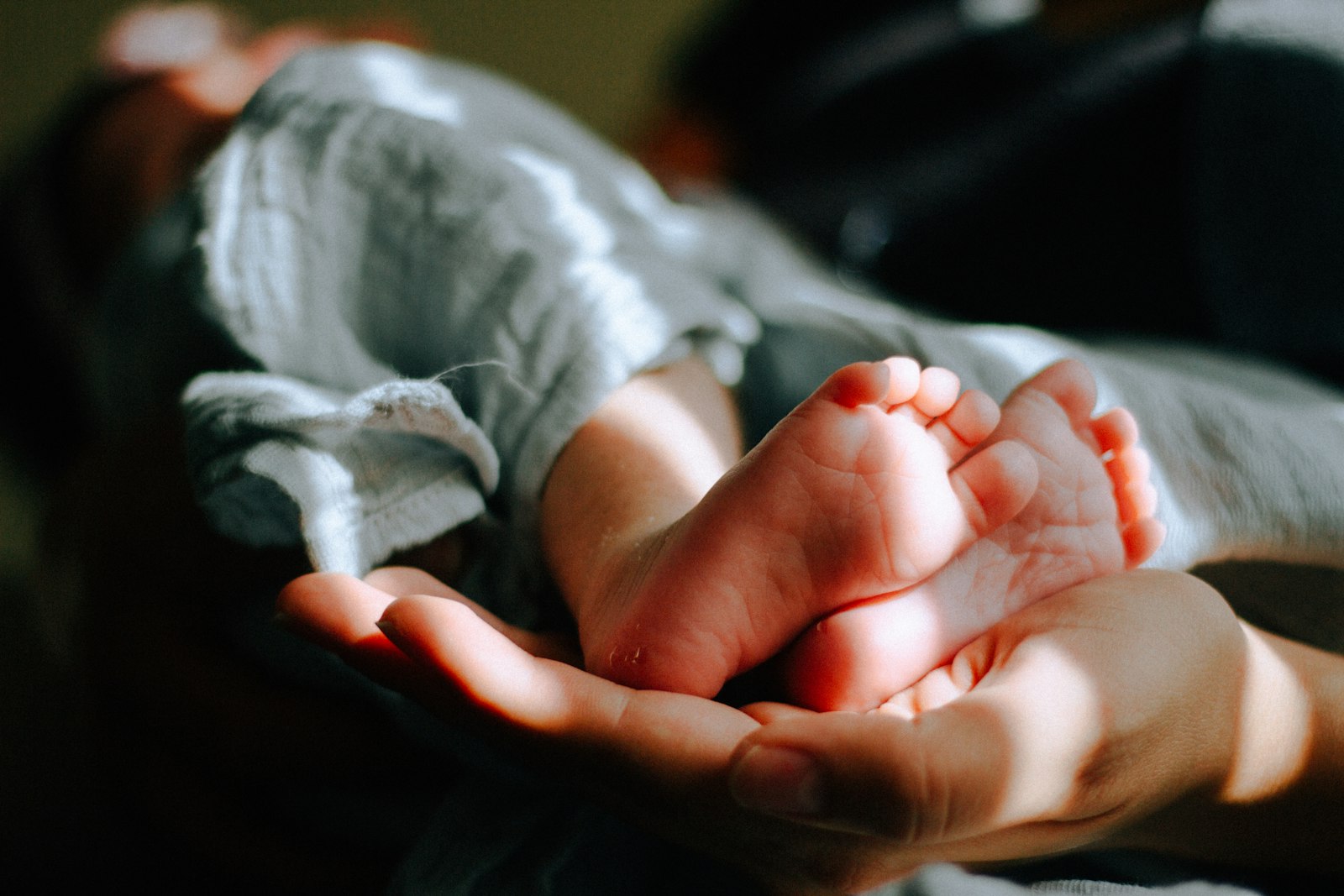 Montessori Toys: A Buyerâ€™s Guide