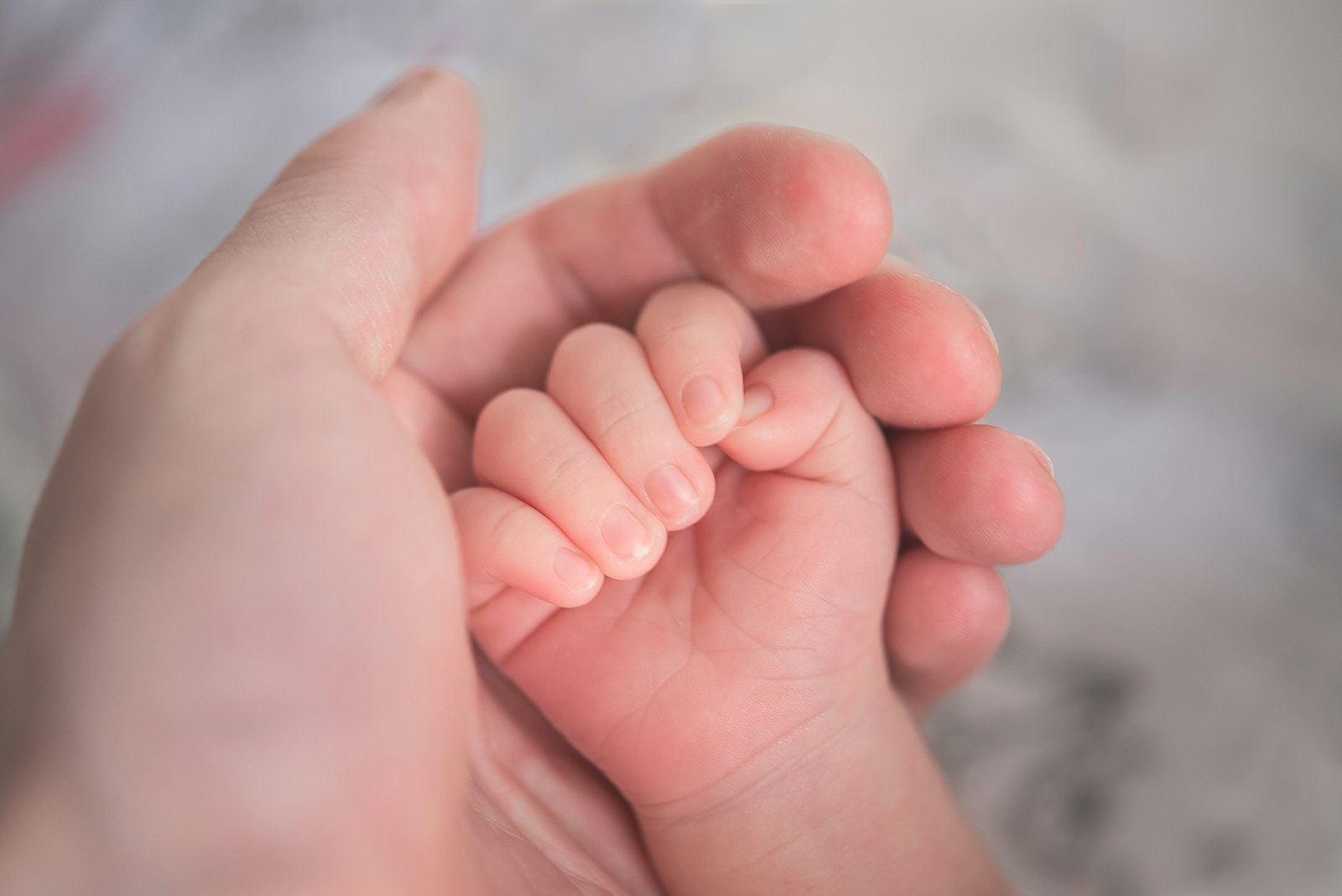 Video Baby Monitors: A Buyerâ€™s Guide